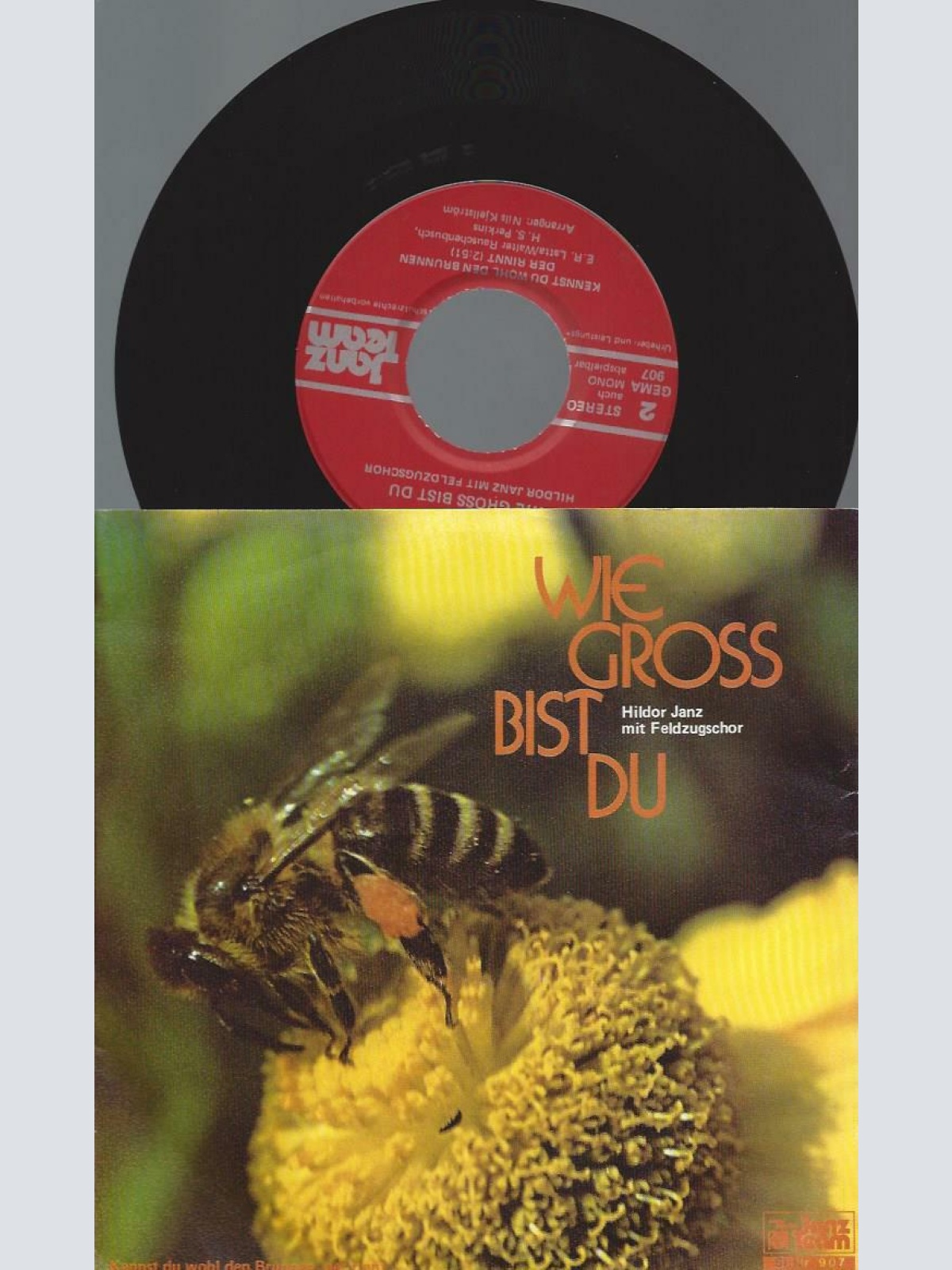 7"   Hildor Janz Mit Feldzugschor – Wie Gross Bist Du