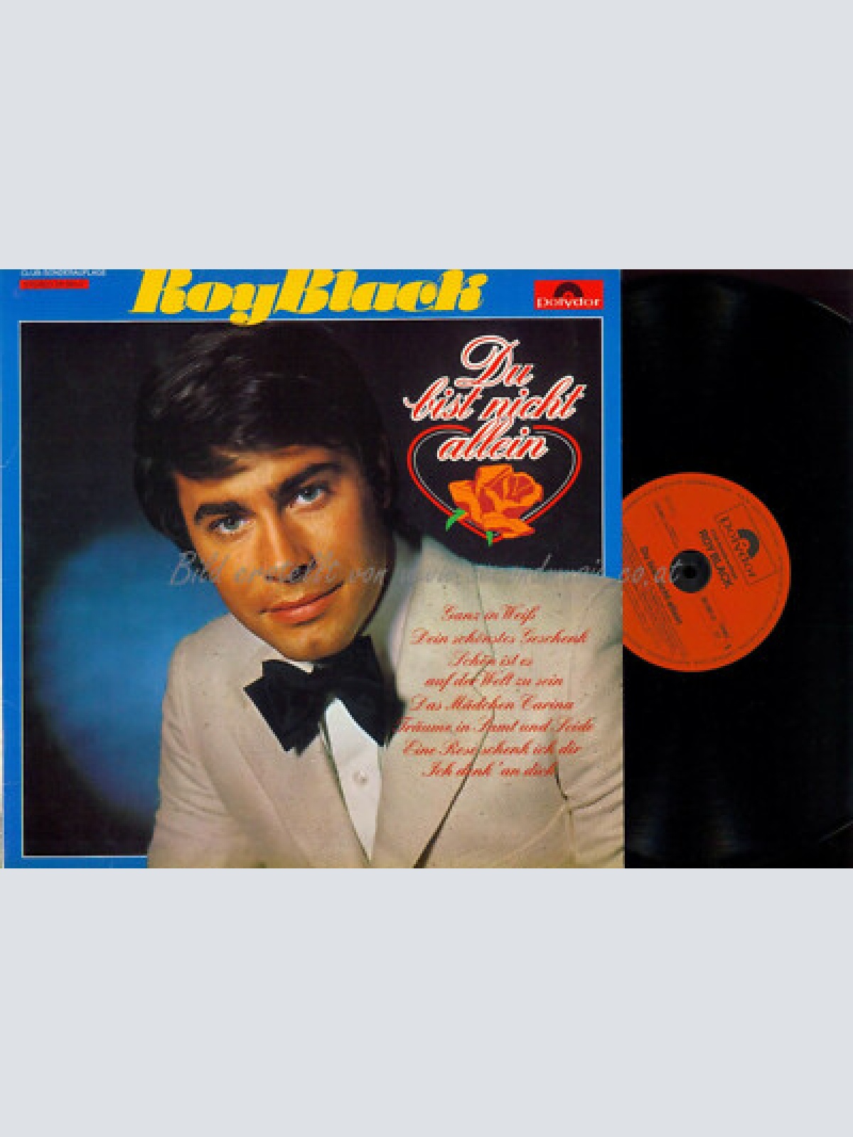 LP-- Roy Black  Unvergessene Hits // Club // DE