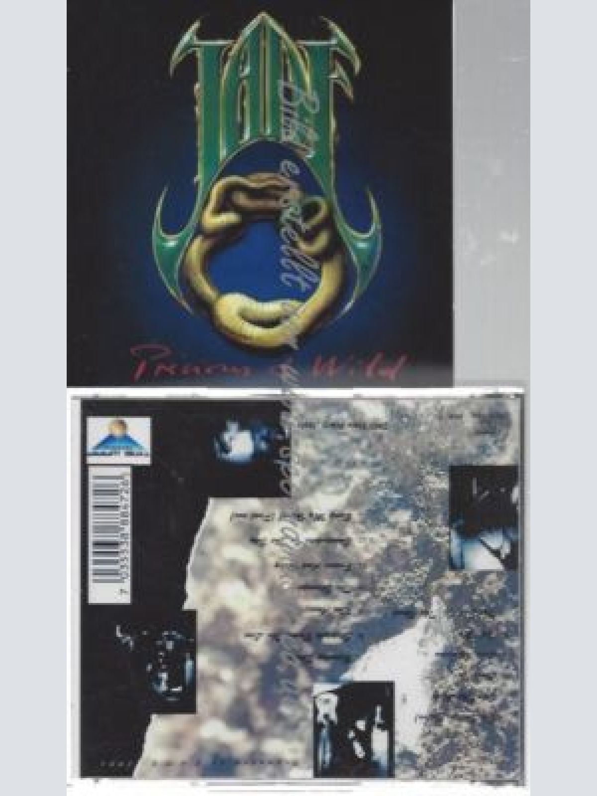 CD--CARNIVORA--    JUDAS