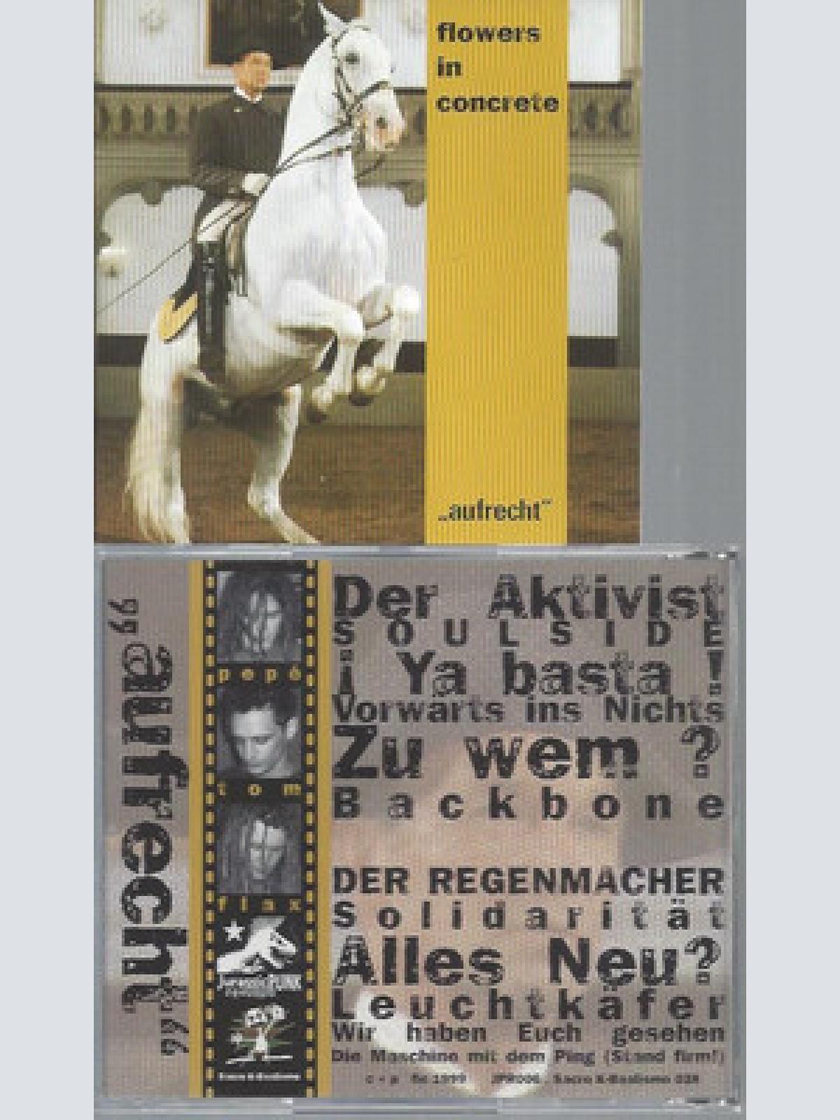 CD-- Flowers In Concrete  Aufrecht --Austrian Punk