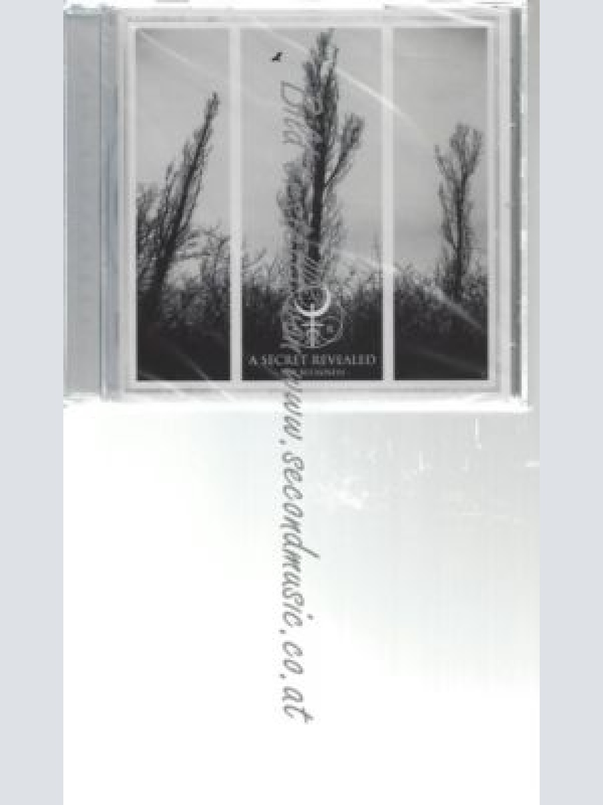 CD--A SECRET REVEALED--    THE BLEAKNESS