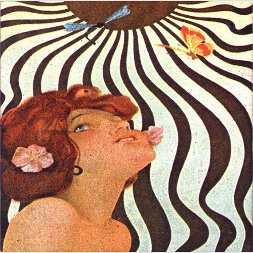 CD, Album Zen Guerrilla - Shadows On The Sun