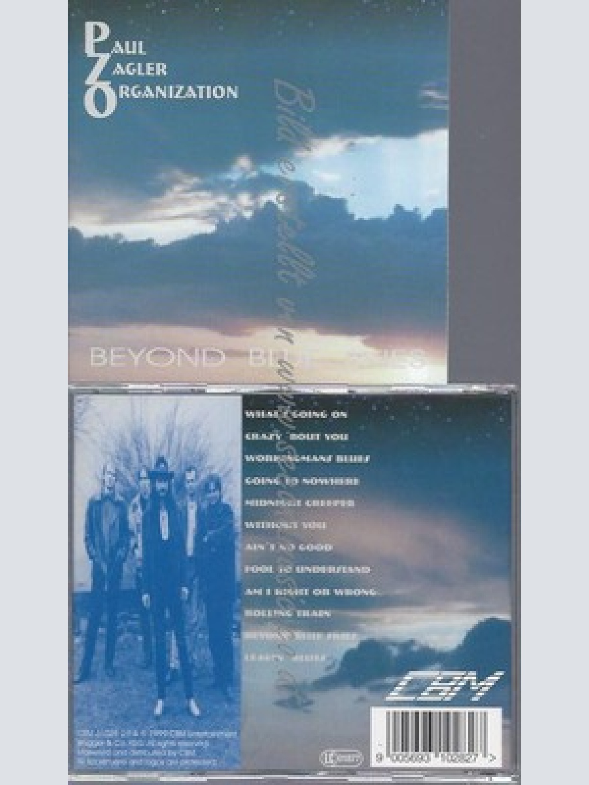 CD--PAUL ZAGLER ORGANIZATION--BEYOND BLUE SKIES