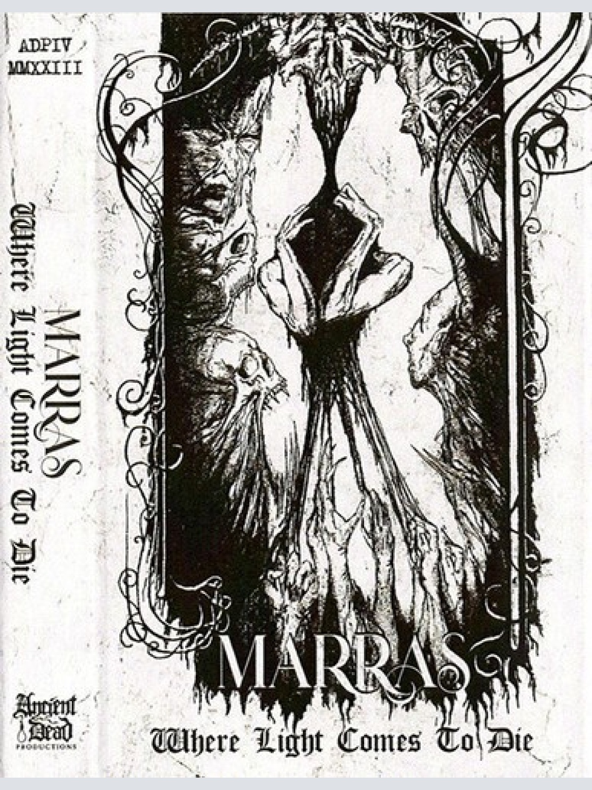 Cass Marras (6) - Where Light Comes To Die