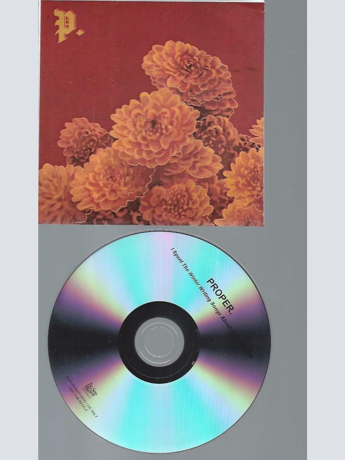 CD Proper.  I Spent The Winter Writing Songs About Getting// PROMO / 14 TRACKS