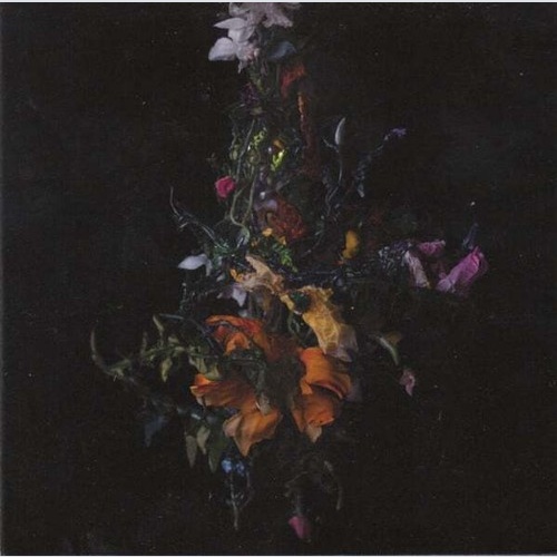 CD, Album Big Brave - Nature Morte