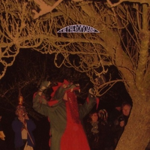 CD, Album, Dig The Pheromoans - Does This Guy Stack Up?