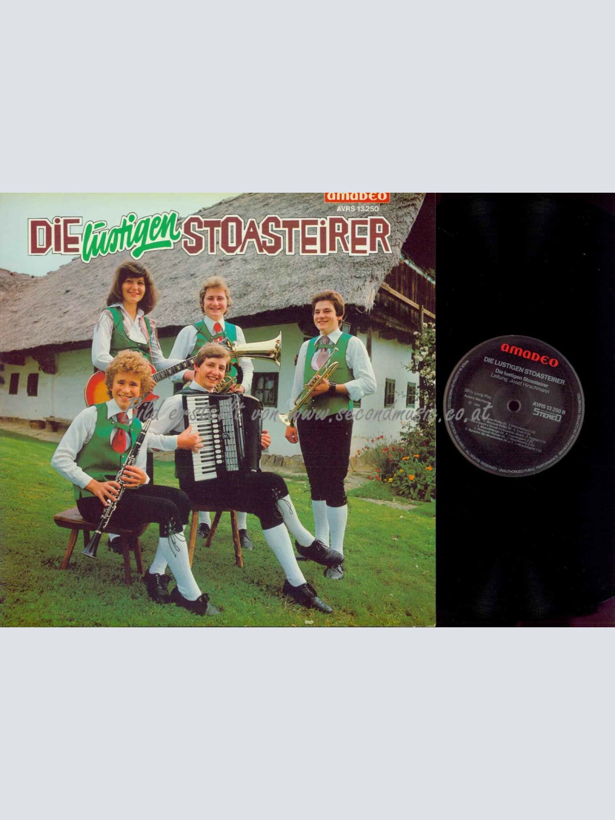 LP-- Die Lustigen Stoasteirer/  NM