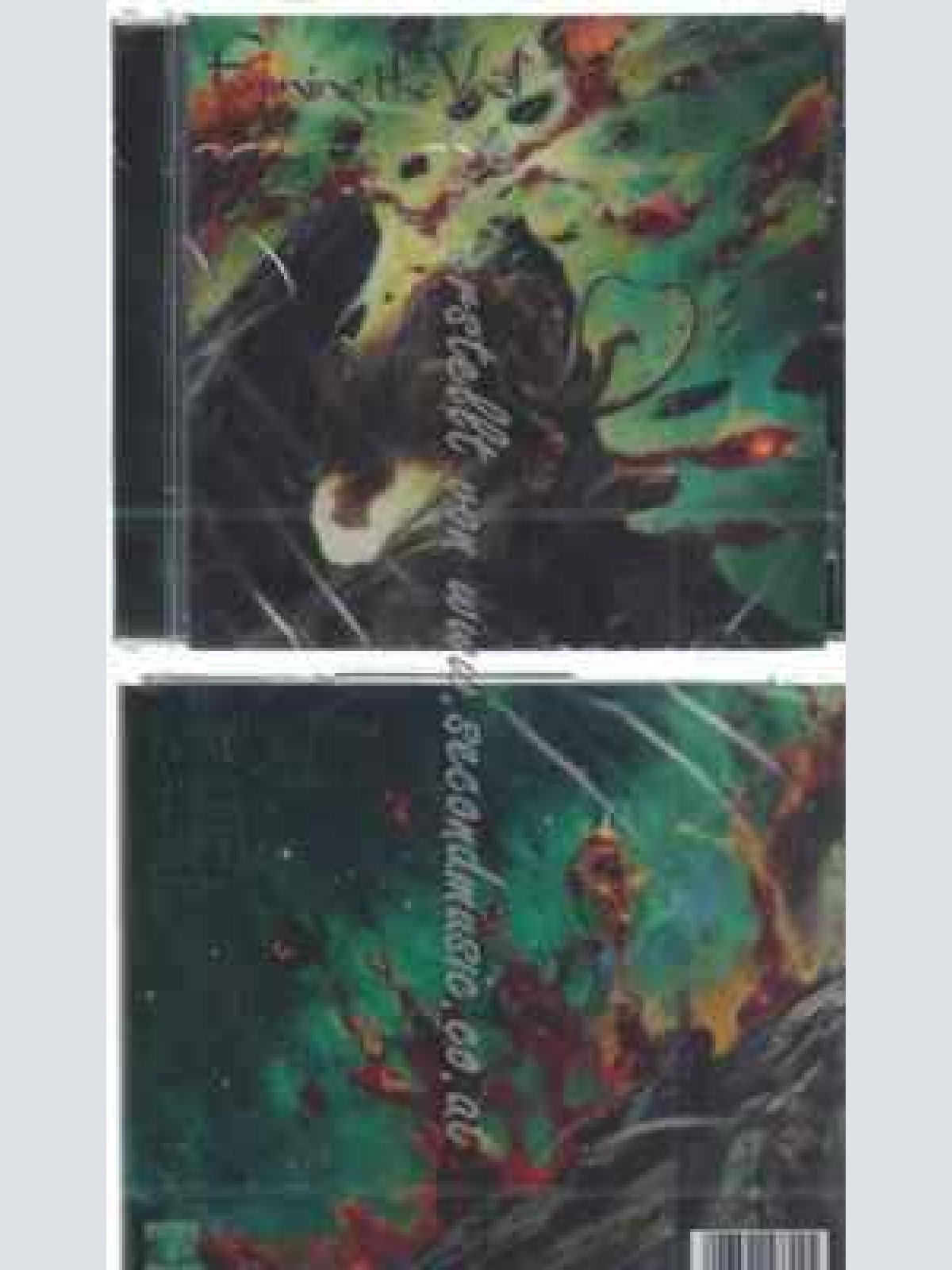 CD--Forming the Void | --Rift