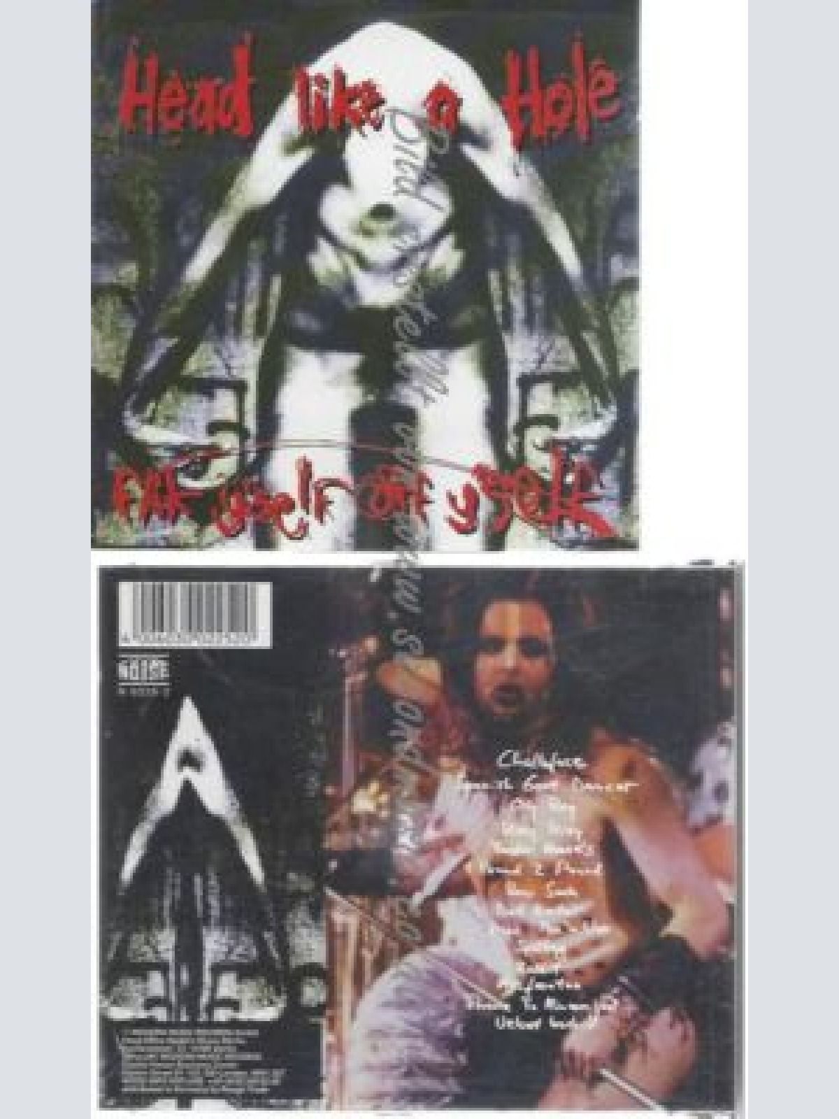 CD--HEAD LIKE A HOLE--FLIK Y'SELF OFF Y'SELF