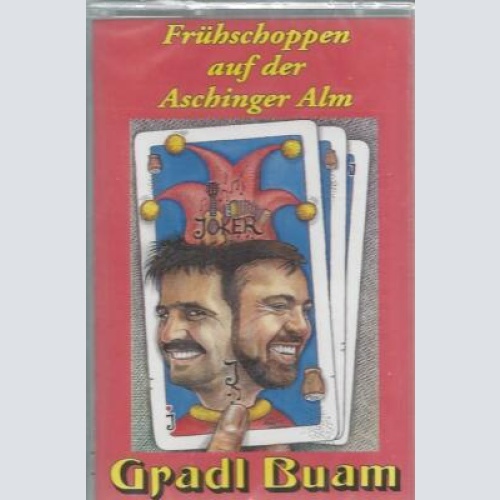 MC--Gradl Buam --Frühschoppen auf der Aschinger Alm