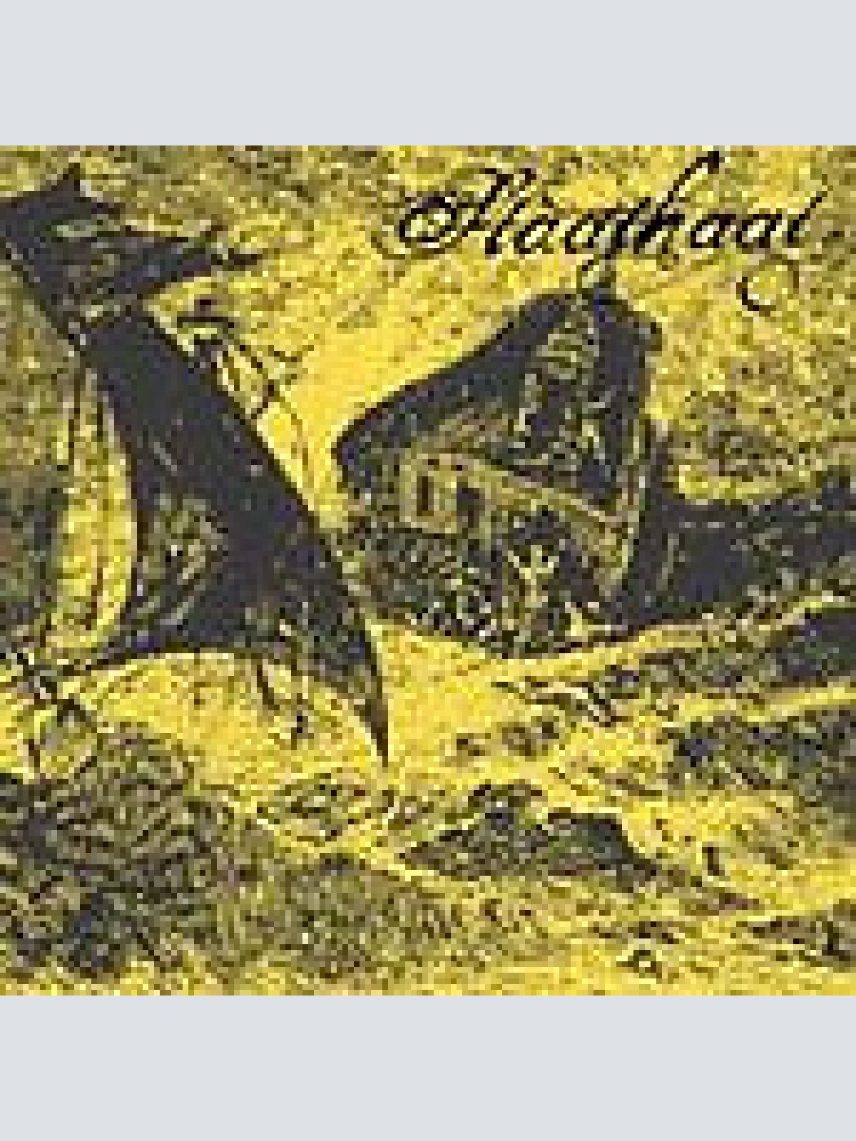 LP Staathaat - Staathaat