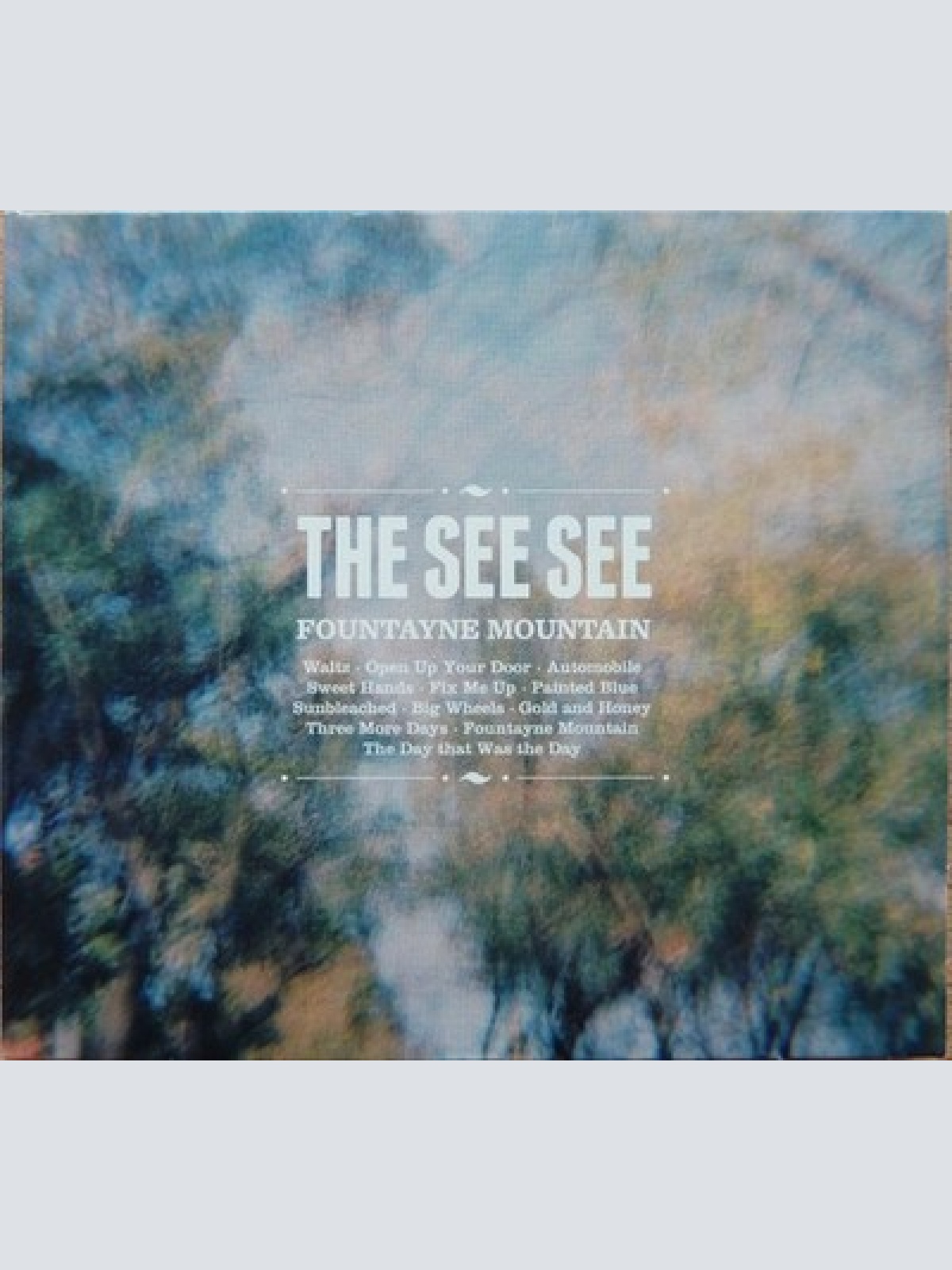 CD, Album, Dig The See See - Fountayne Mountain