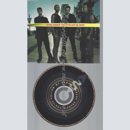 CD--SKUNK ANANSIE--YOU'LL FOLLOW ME DOWN | MAXI