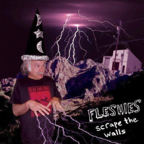 LP, Album Fleshies - Scrape The Walls