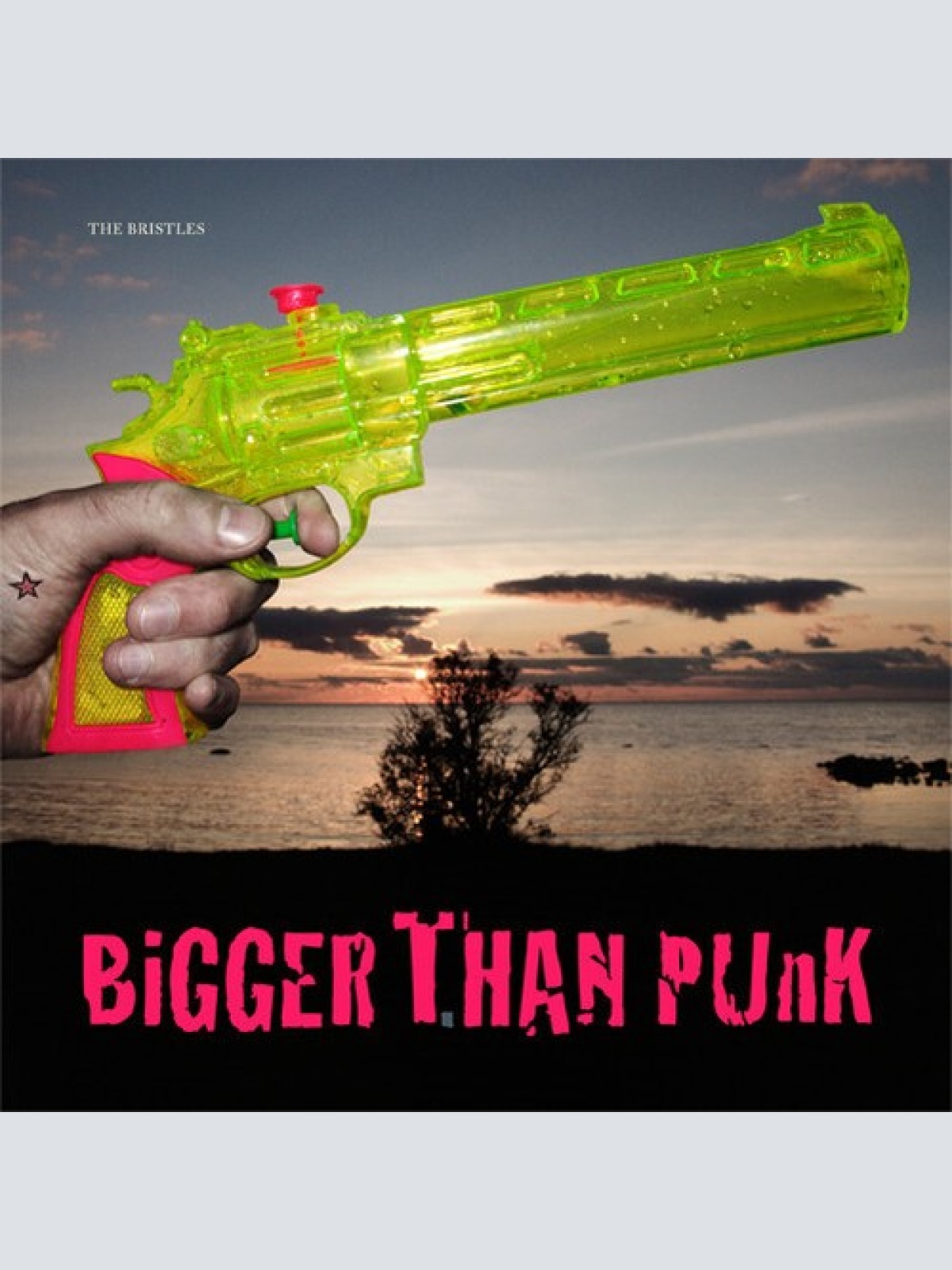 LP, Album The Bristles (2) - Bigger Than Punk