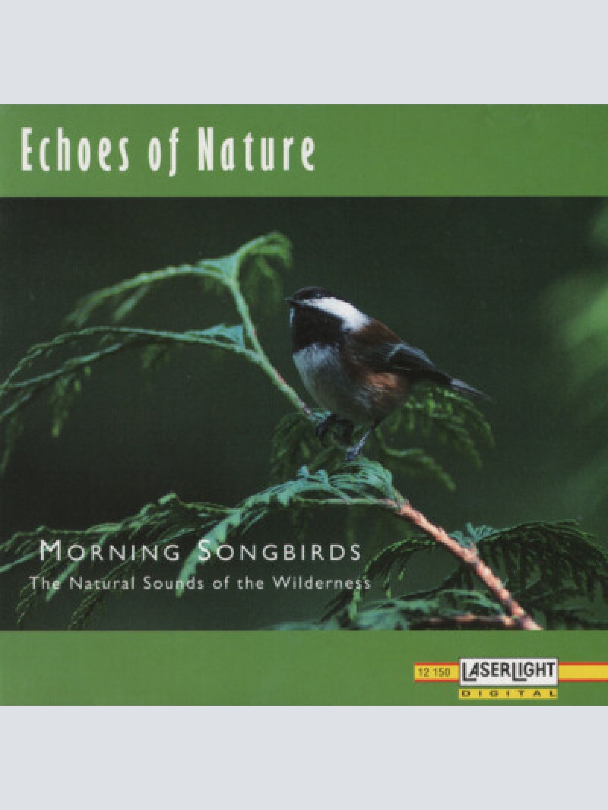 CD No Artist - Morning Songbirds (The Natural Sounds Of The Wilderness)