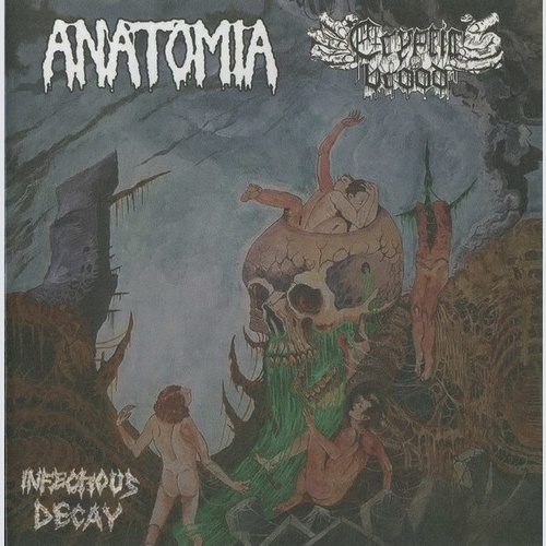 CD Anatomia / Cryptic Brood - Infectious Decay