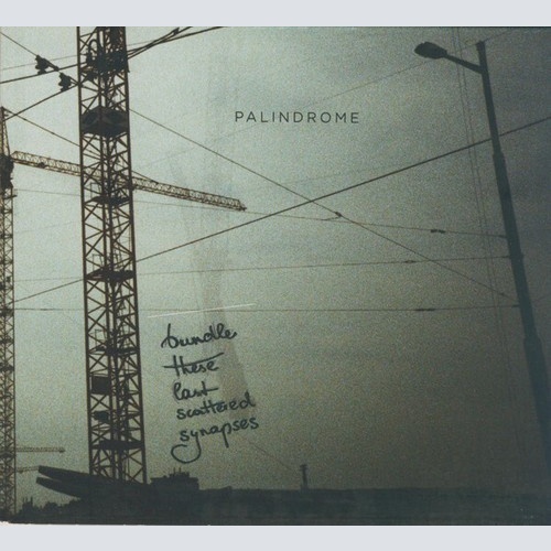 CD, EP, Dig Palindrome (4) - Bundle These Last Scattered Synapses