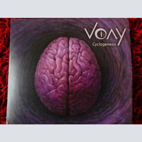 CD VOAY - Cyclogenesis