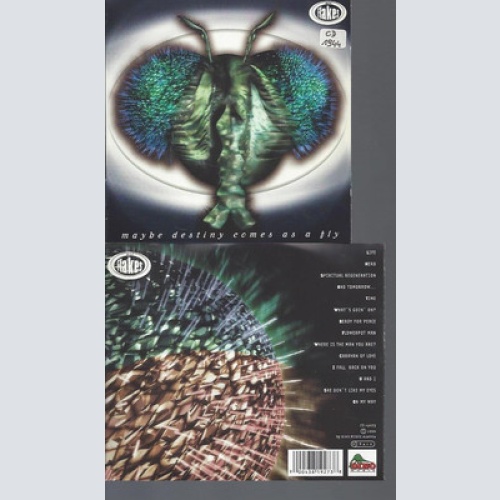 CD-THE FLAKES MAYBE DESTINY COMES AS A FLY