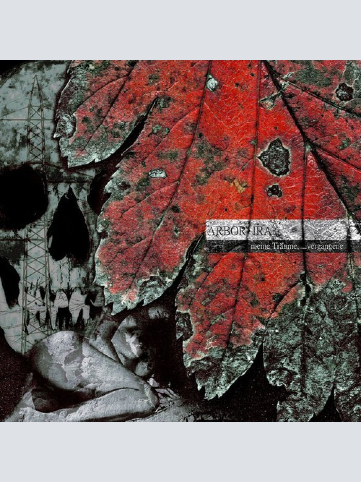 CD, Album Arbor Ira - Meine Träume, Vergangene...