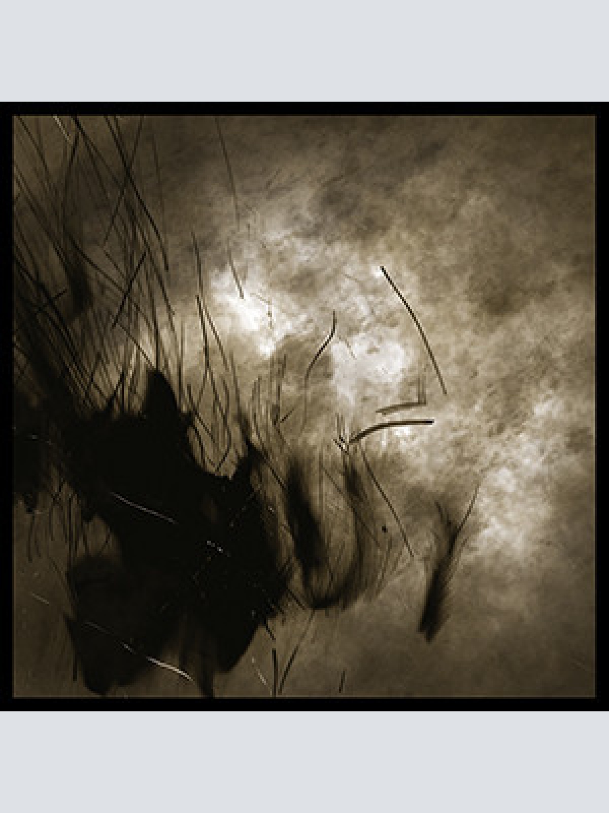 CD, Album Weird Fate - Cycle Of Naught