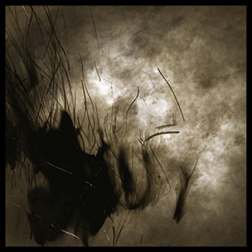 CD, Album Weird Fate - Cycle Of Naught