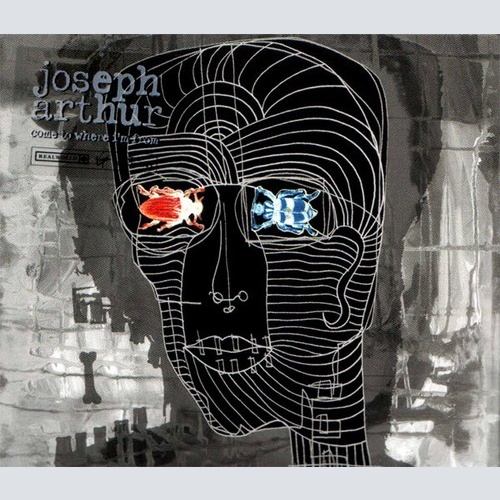CD, Album, Dig Joseph Arthur - Come To Where I'm From