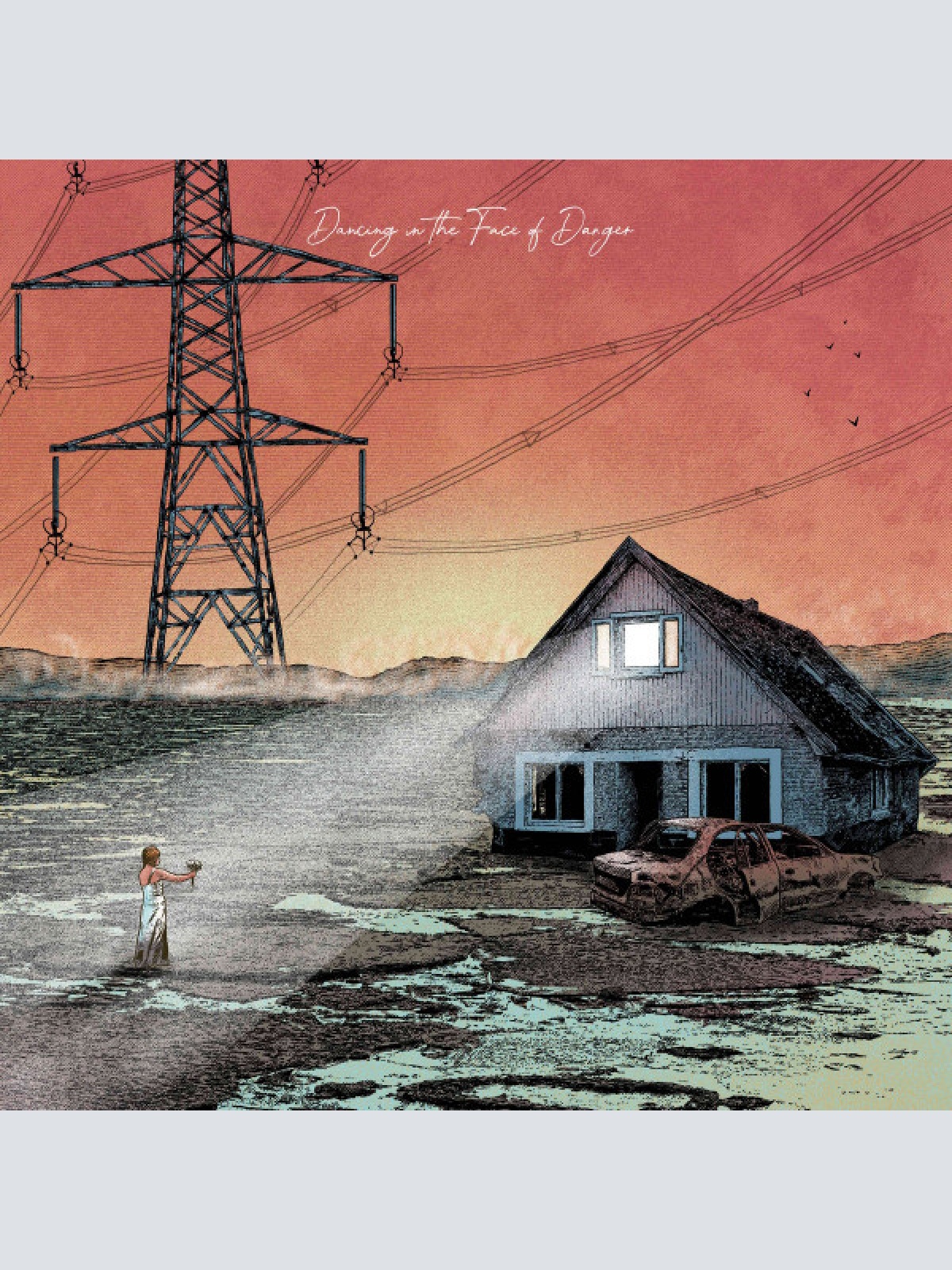 CD, EP Exploring Birdsong - Dancing In The Face Of Danger