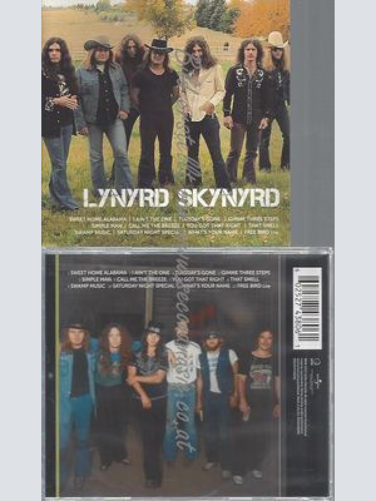 CD--LYNYRD SKYNYRD--ICON