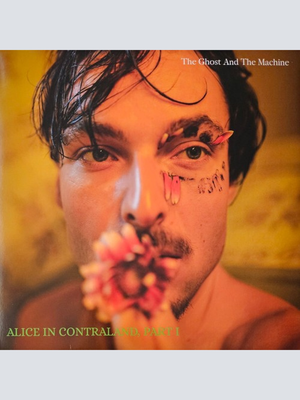12", Album The Ghost And The Machine - Alice In Contraland, Part I
