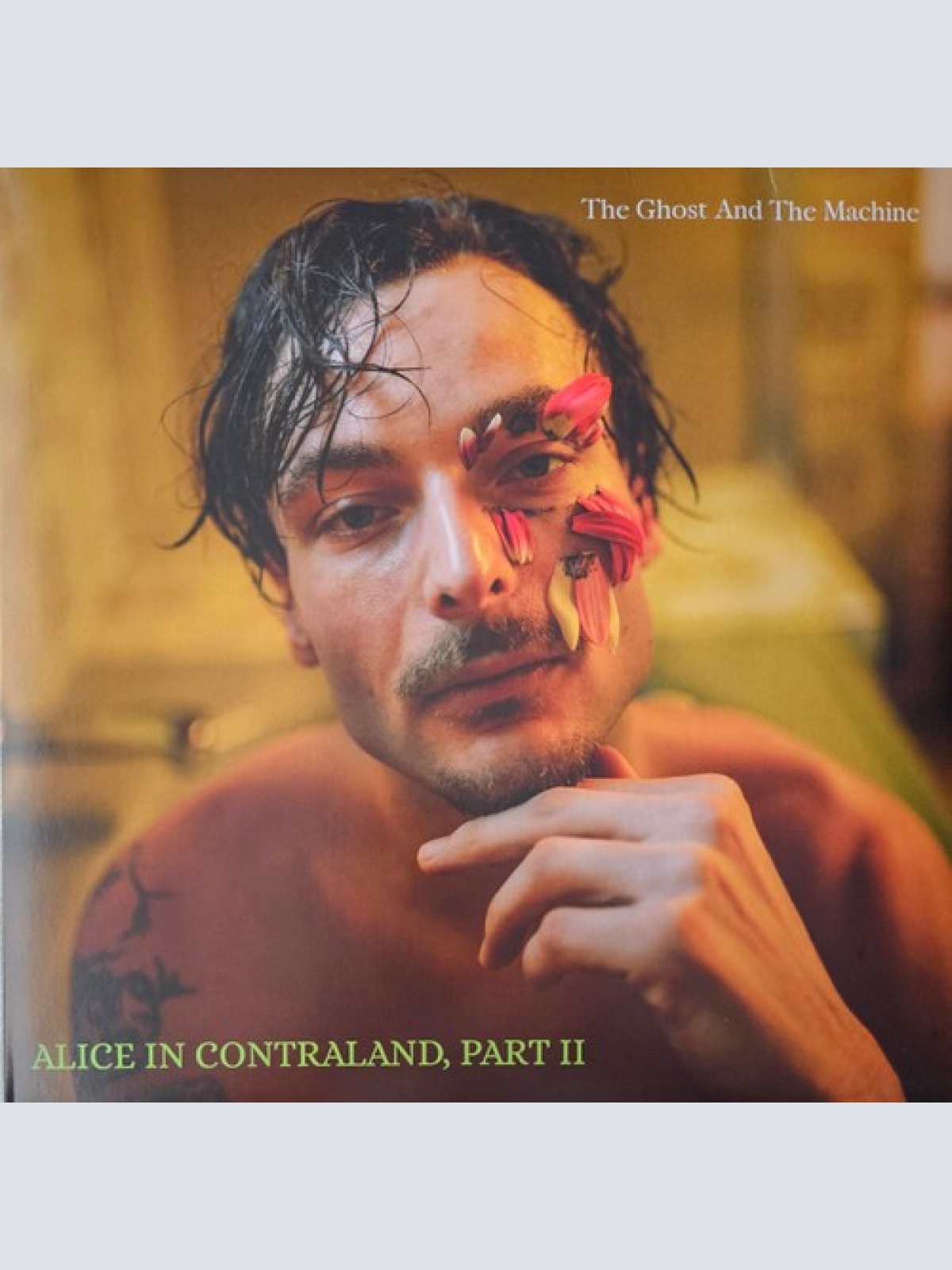 12", Album The Ghost And The Machine - Alice In Contraland, Part II