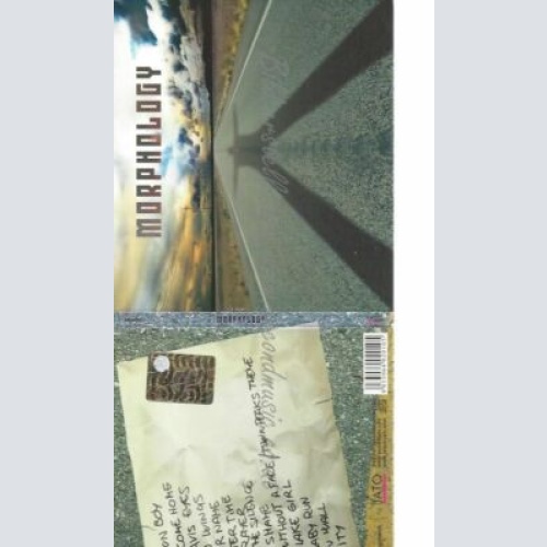 CD-- MORPHOLOGY--MORPHOLOGY