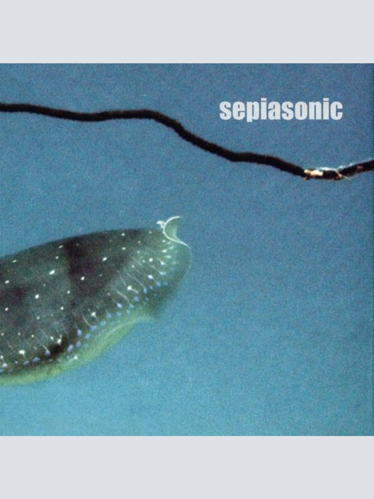 CD Sepiasonic - Sepiasonic Demo