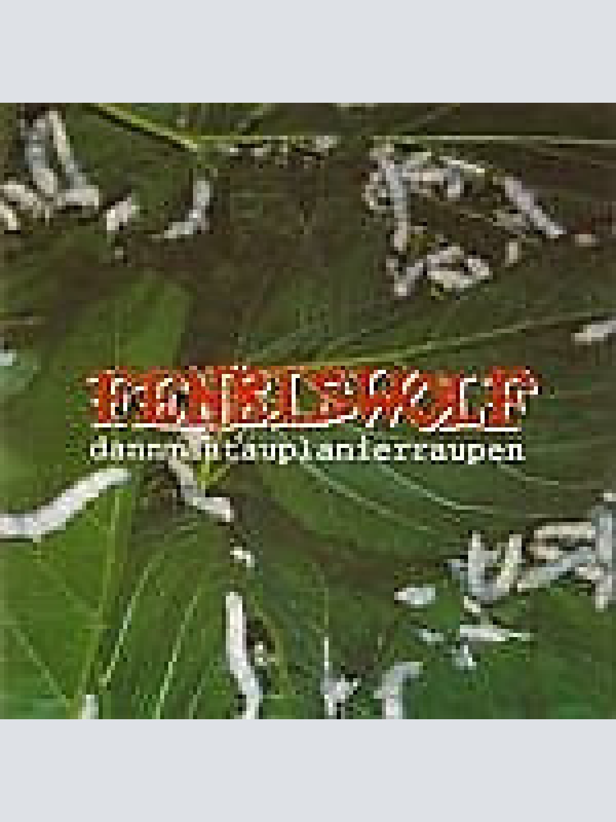 CD Fenriswolf - Dannmantauplanierraupen