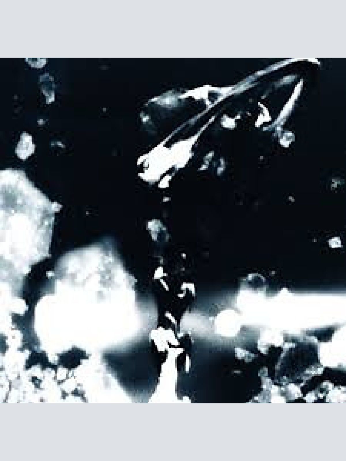 CD, Album Polanski (4) - Between This And Hate