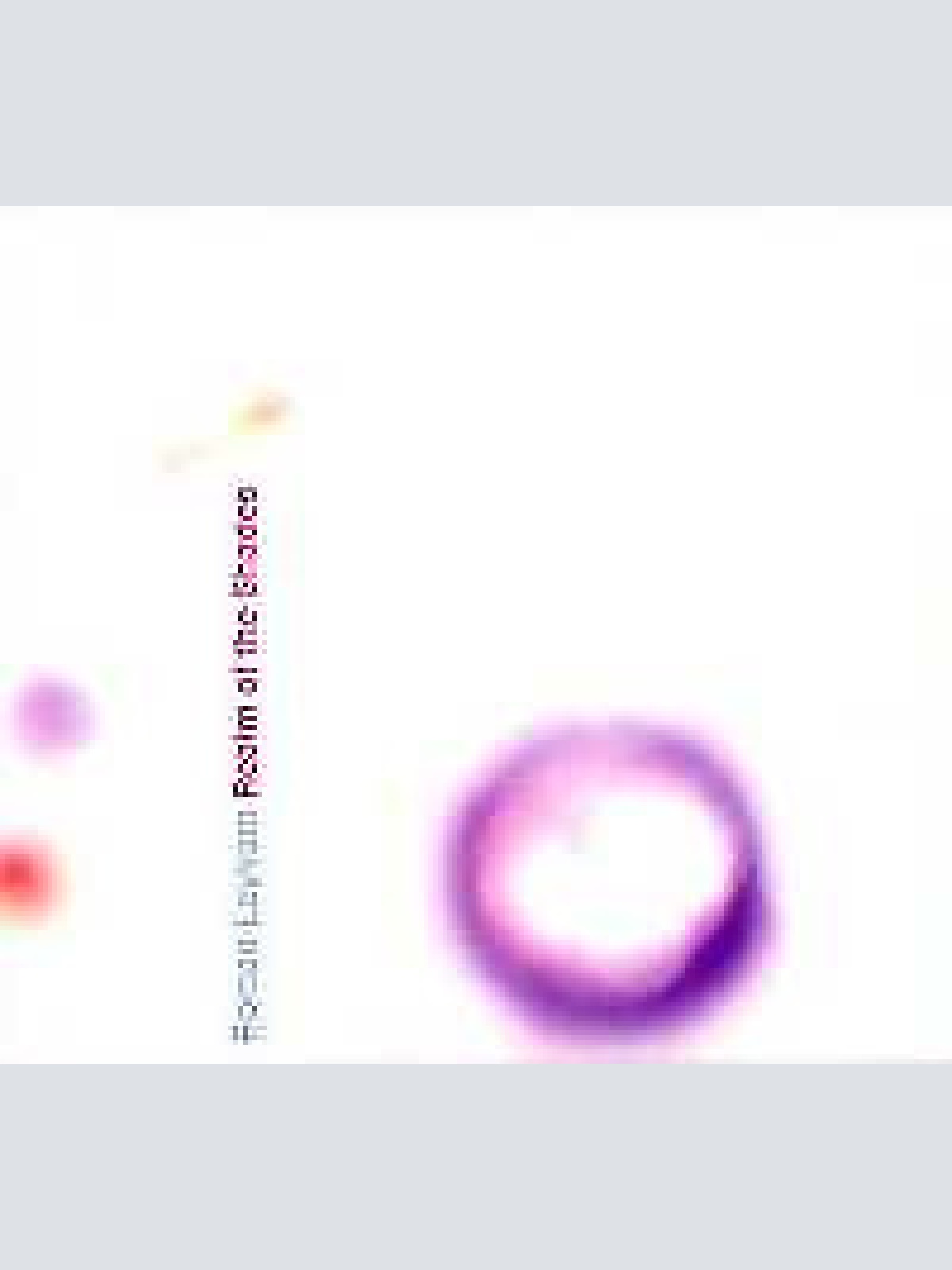 CD, Album Roman Leykam - Realm Of The Shades