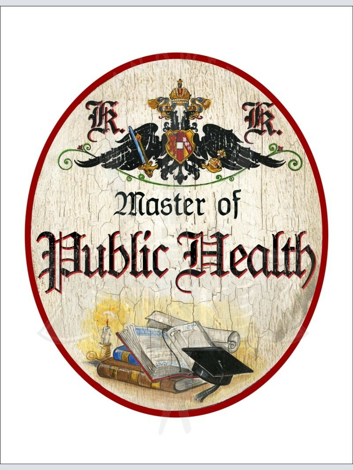 KuK Nostalgie Holzschild - Master of Public Health - Bücher Studentenhut TH