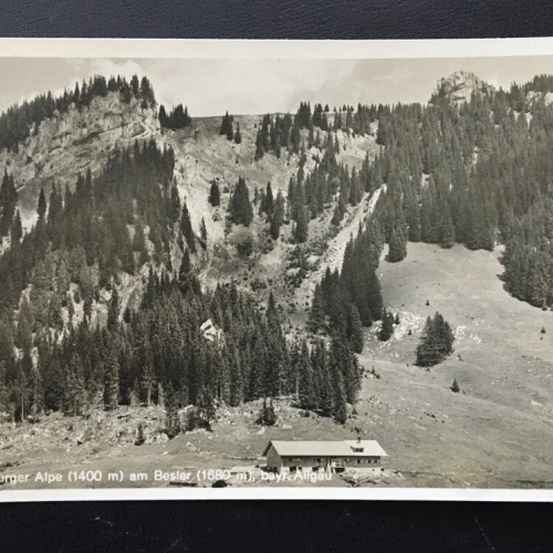 Freiburger Alpe am Bester - Oberstdorf - Bayr. Allgäu - Deutschland 400313 TH F