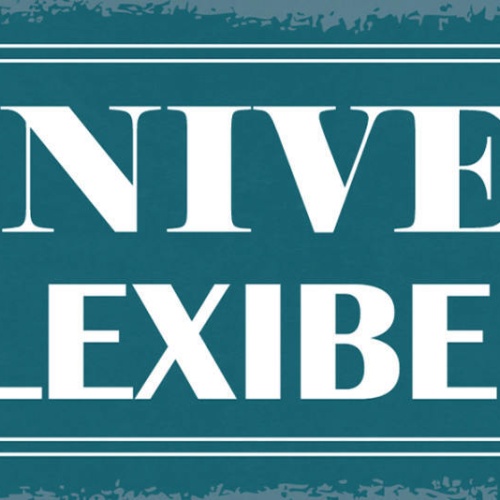 Schild Im Niveau Flexibel Charakter Leben 27x10 Blech od.Holz