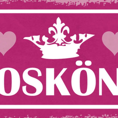 Schild Chaos Königin Chaotin Durcheinander Unorganisiert 27x10 Blech od.Holz