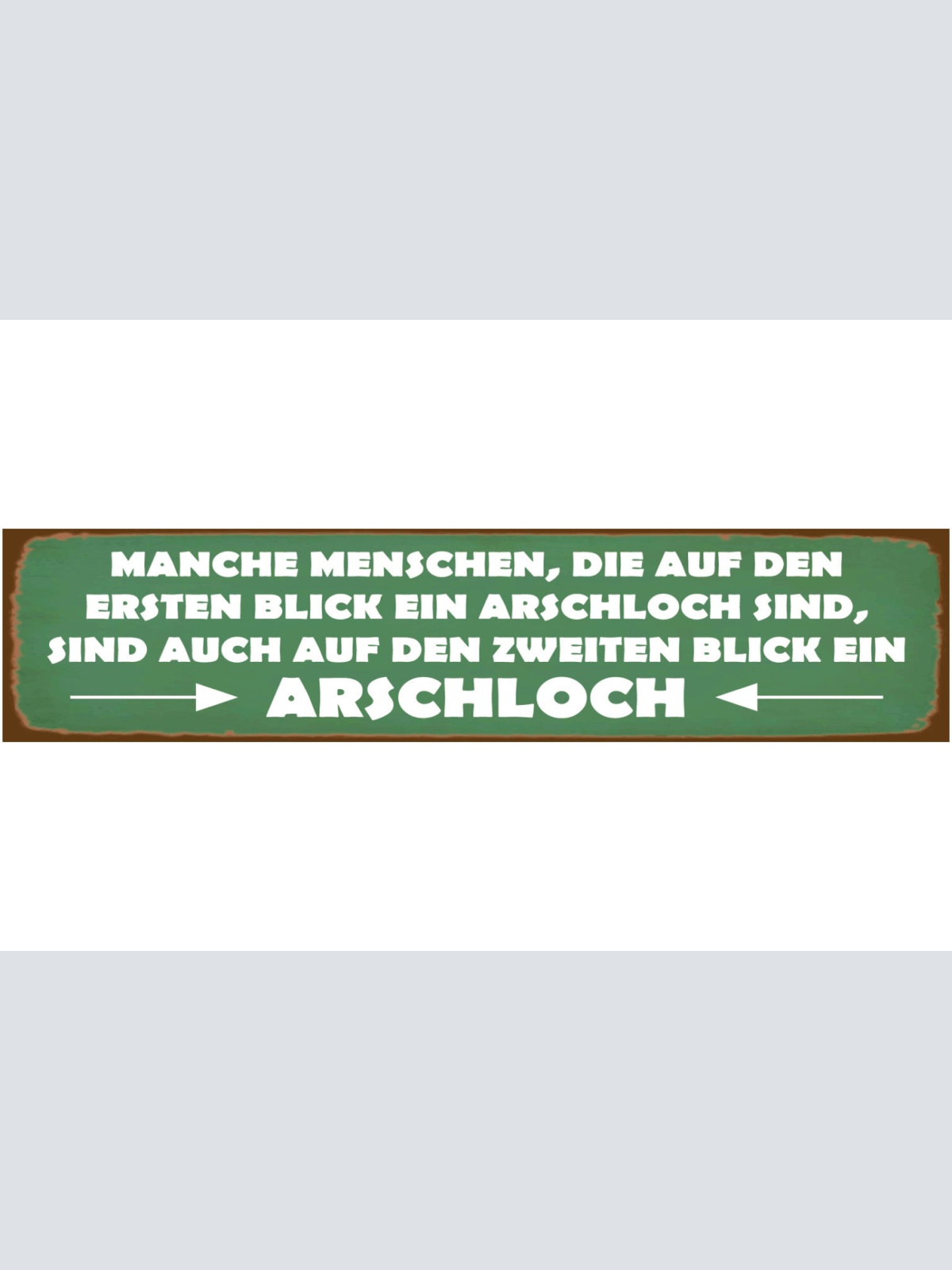 Schild Menschen Erster Zweiter Blick Arschloch Kenntnis 46 x 10 Blech od. Holz