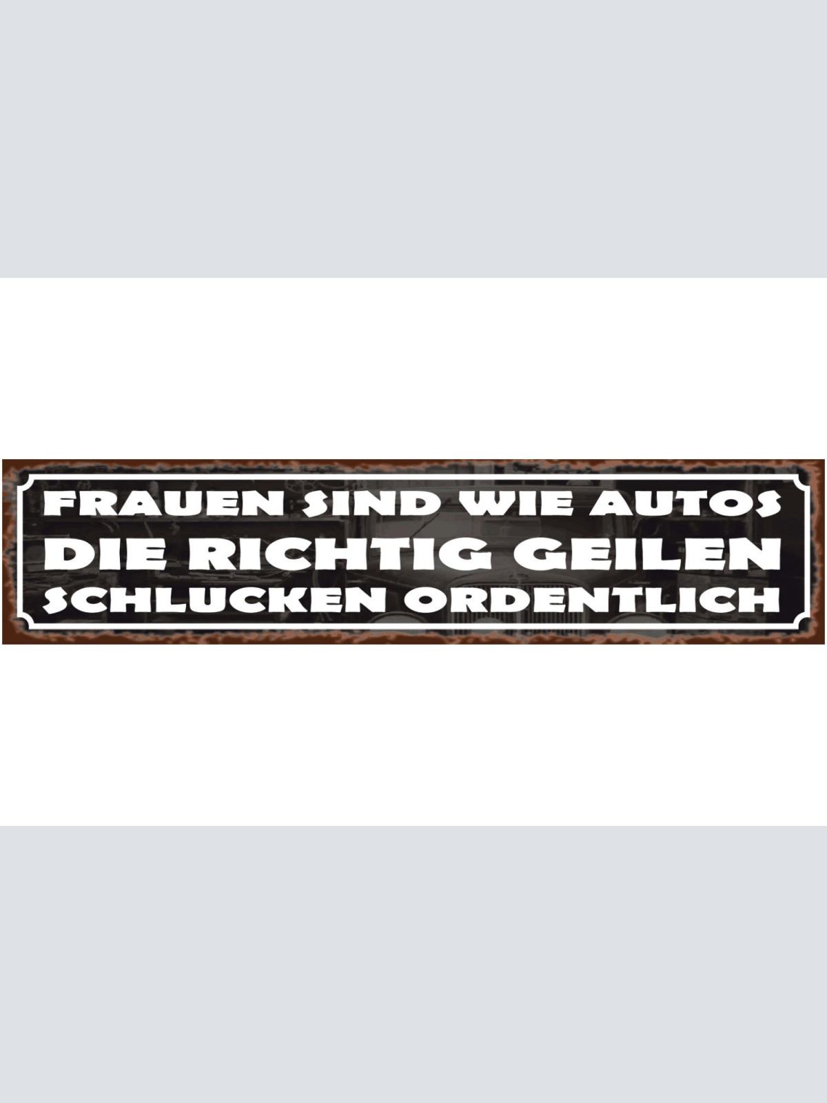 Schild Frauen Wie Autos Sexistisch Vergleich Mann Benzin 46 x 10 Blech od. Holz