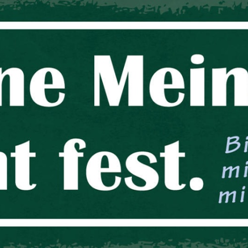 Schild Meine Meinung Steht Fest Bitte Verwirre Mich Nicht Mit Tatsachen 27x10