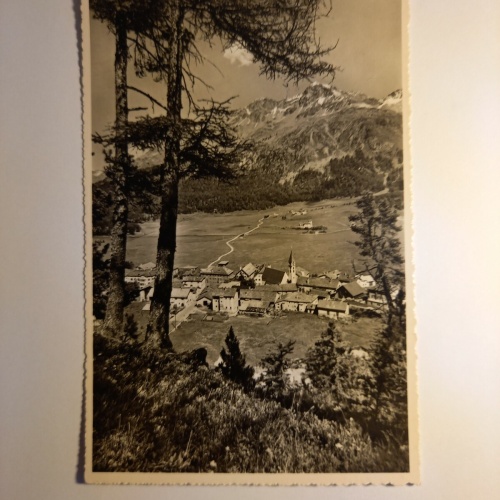 Silvaplana mit Piz Rosatsch 80253 GR