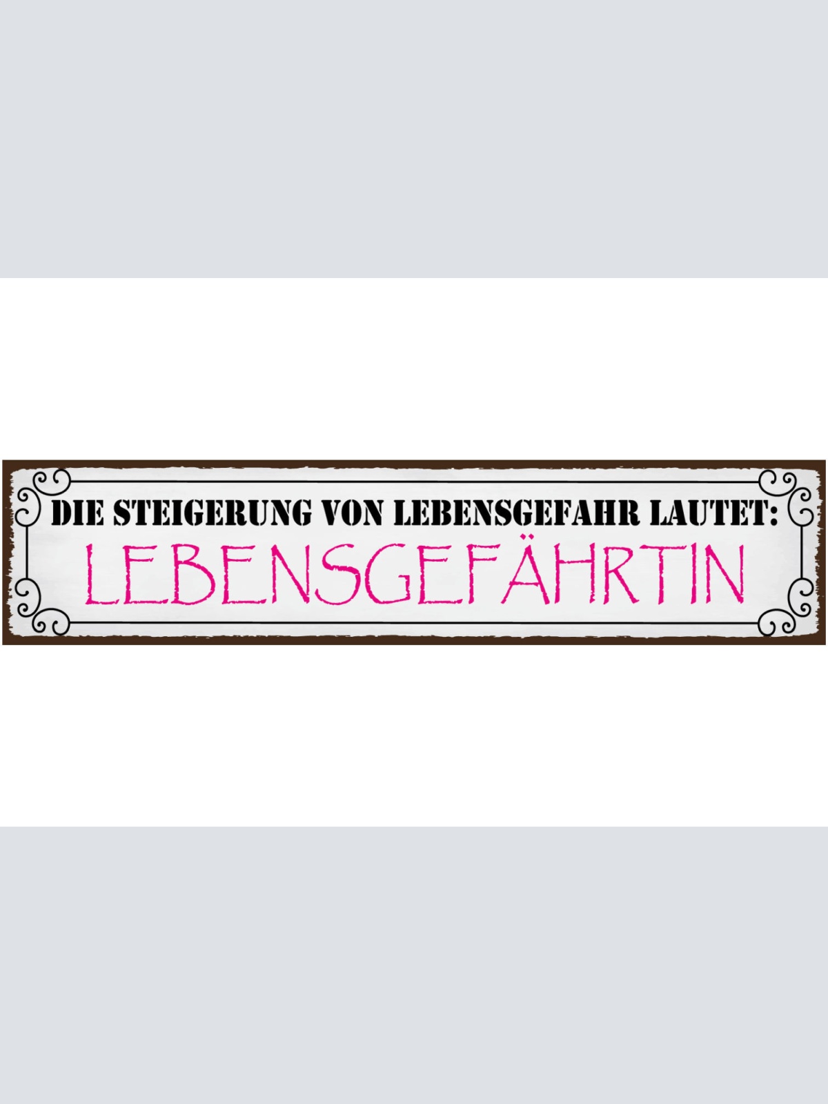 Schild Lebensgefahr Lebensgefährtin Ehe Beziehung Frau 46 x 10 Blech od. Holz