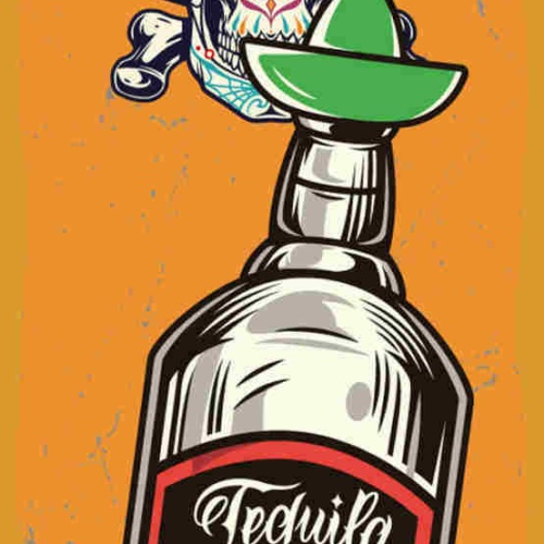 Schild Tequila Alkohol Spirituose Mexiko Totenkopf LaCatrina 27x10 Blech od.Holz