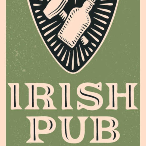 Schild Irish Pub Ireland Irland Alkohol Bier Flasche 27x10 Blech od.Holz