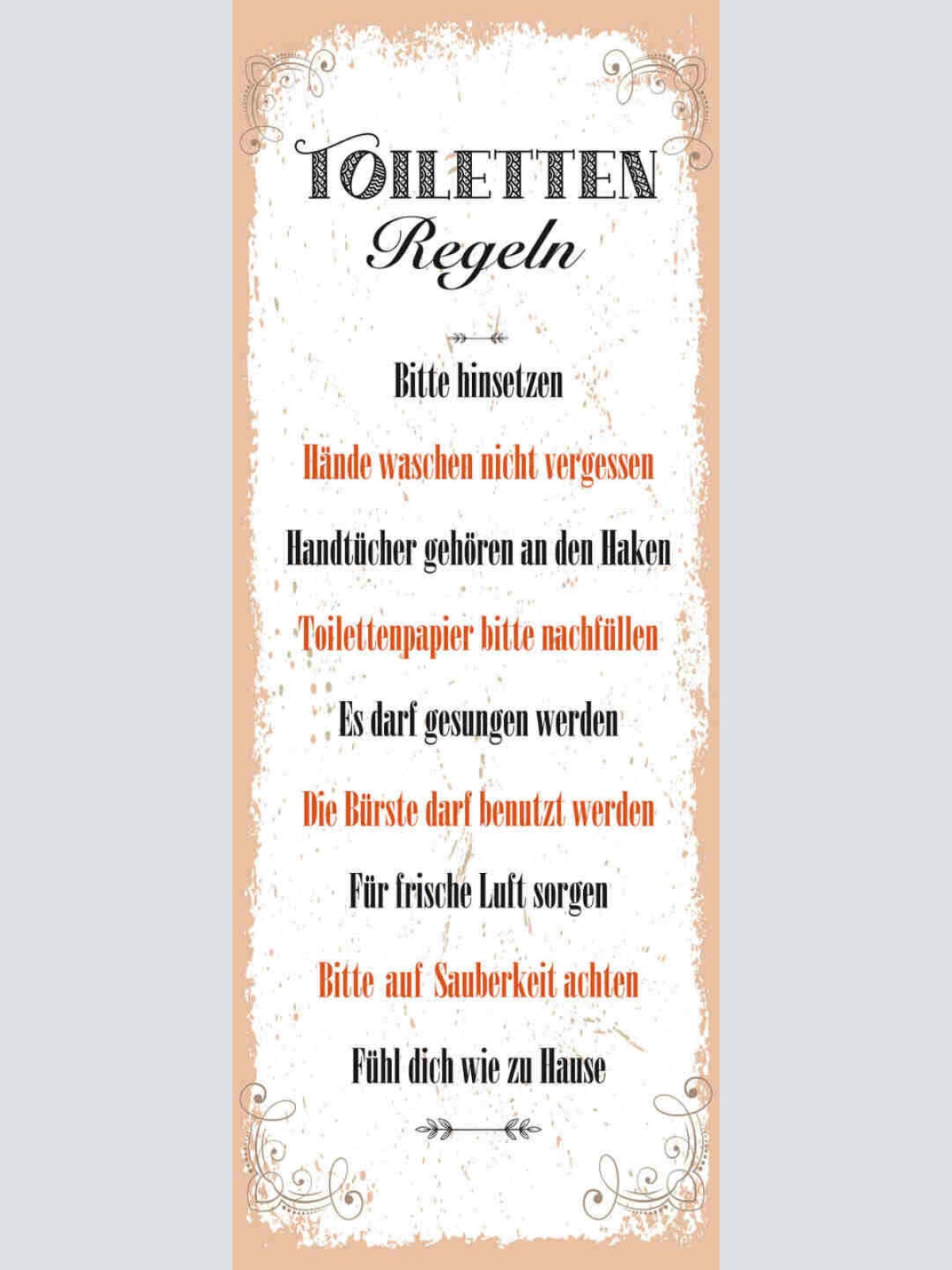 Schild Toiletten Regeln Bitten Hinsetzen Hände Waschen WC 27x10 Blech od.Holz